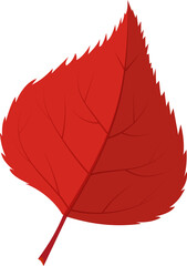 autumn leaves icon
