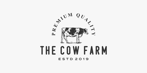 Fototapeta na wymiar farm cow with hand drawing premium logo