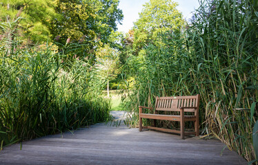 wooden bench in sun garden