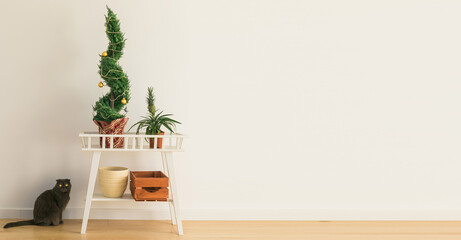 Banner Indoor cypress or thuja in pot is decorating balls like Christmas tree and cat sits near it....