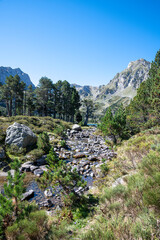 Mountain landscape with a river coming from the Laurenti Lake in Ariege, Pyrenees, France