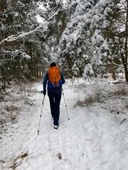 Alone in the snowy forest