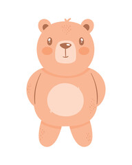 Obraz na płótnie Canvas brown bear teddy