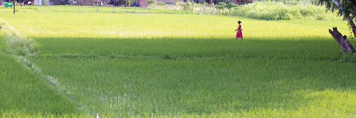 Mujer india con vestido rojo caminando entre los campos cultivados