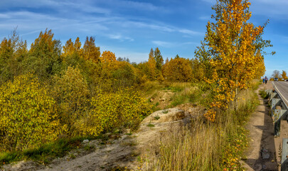 Fototapeta na wymiar Autumn landscape of the Sablinsky Reserve in the Leningrad Region.