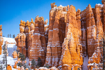 cold winter in bryce canyon national park, close-up on unique rock formations in utah covered in...