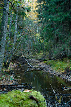 Small river