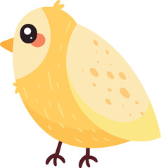 little canary bird