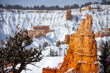 cold winter in bryce canyon national park, close-up on unique rock formations in utah covered in...
