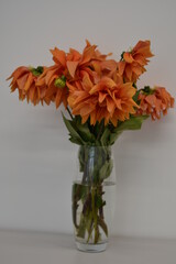 flowers in vase
