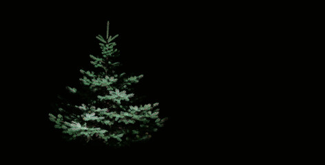 Christmas tree on a dark background