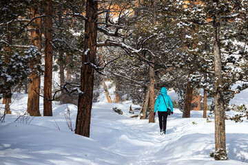 Fototapeta na wymiar girl in blue jacket hiking among snow-covered trees in bryce canyon national park in winter; magical winter landscape in usa, utah