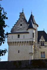 Fototapeta premium Le château de Verneuil-sur-Indre (Indre-et-Loire - Centre-Val de Loire - France)
