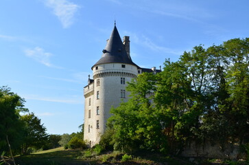 Fototapeta na wymiar Le château de Verneuil-sur-Indre (Indre-et-Loire - Centre-Val de Loire - France)