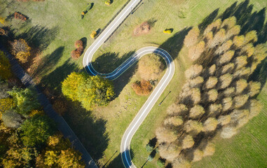 Bicycle path in the park. Ecosystem and healthy environment concepts and background.	