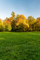 Autumn public park with meadow, colorful trees and clear sky