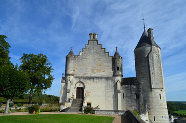 Fototapeta na wymiar Le Château Royal de Loches (Indre-et-Loire - Centre-Val de Loire - France)