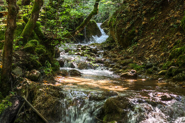 waterfall in the forest