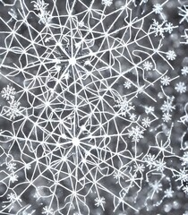 The photograph shows a closeup of a snowflake crystal. The delicate structure is well defined, and the brilliant white color stands in stark contrast to the black background. Every detail is clearly v