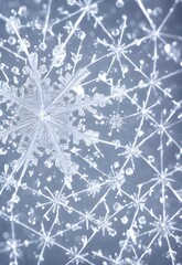 The snowflake crystal is a beautiful sight. Its intricate design is like no other. Each branch and...