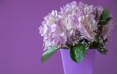 Lilac hydrangea on a light background with space for text.