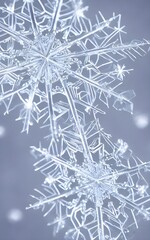 The snowflake crystal macro closeup is a beautiful picture. The colors are white and blue, and the background is blurry. The foreground is in focus, and the snowflakes are sparkling.
