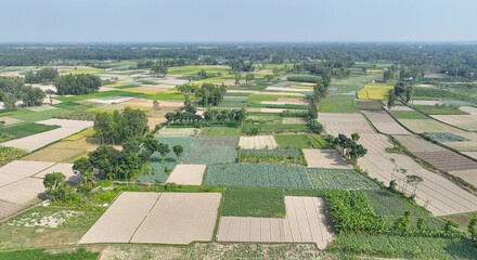 Bangladesh field aerial view photo - beautiful bangladesh landscape photo