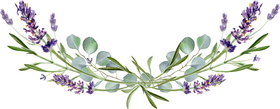 Watercolor eucalyptus leaves and purple lavender flower. Botanical bouquet, Greenery branches.  Wedding invitation. Floral wreath. Floral illustration isolated on transparent background . 
