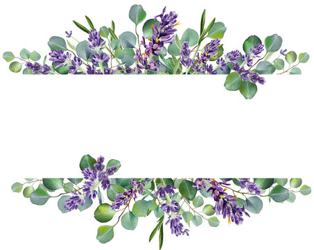 Watercolor eucalyptus leaves and purple lavender flower border.  Greenery branches. Rustic design. Clipart. Wedding invitation. Floral illustration isolated on transparent background . 