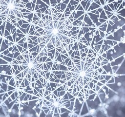 A beautiful, intricate snowflake is resting on a black background. It's perfect symmetry is breathtaking. Every detail of the snowflake is visible in this macro closeup.
