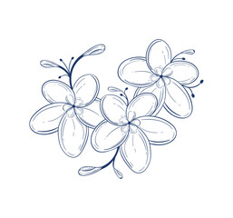 flowers garden sketch