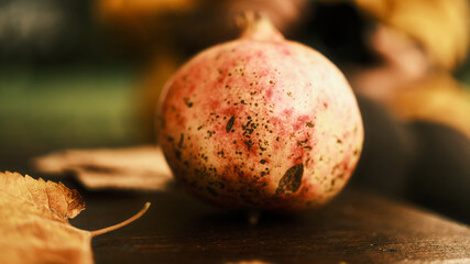 Big ripe pomegranate close up