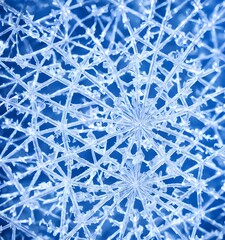 The snowflake crystal is closeup and in macro. It's a beautiful winter scene.