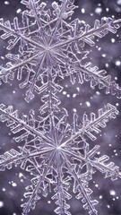 The photo is of a closeup of a snowflake. The snowflake is crystal clear and has intricate patterns. It is lying on a black background.