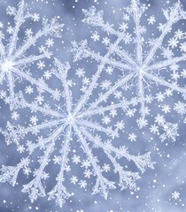 The closeup of the snowflake reveals its intricate structure, and the photo is so clear that each...