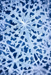 The snowflake crystal is a beautiful thing to behold. Its intricacies are astounding, and each one...