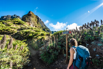Woman with backpack reading trail signs along scenic hiking trail to Pico Ruivo in the morning....