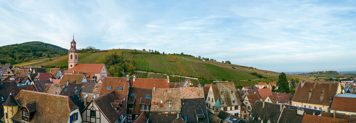 Panorama of Riquewihr, Alsace - 544728023