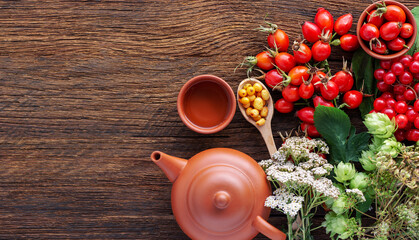 herbal tea cup Dog rose, bunch branch Rosehips, types Rosa canina hips