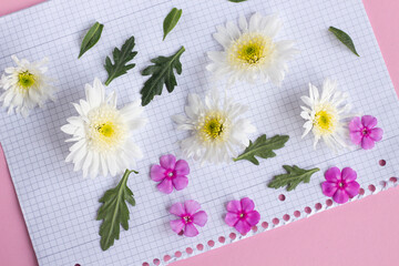 Lisianthus flower. Flower in garden. flower at spring day. Colorful flower. Flower decoration. flower for design.