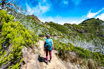 Hiker with backpack walking through a scenic forest of dead trees in the afternoon. Verade do Pico...