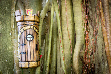 Brown color castle Queen Fairy Door found at a botanical garden in a bald cypress tree in Central...