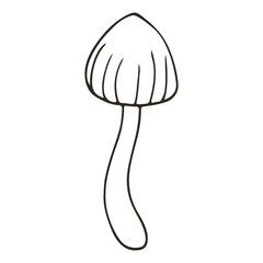 Autumn. Monochrome illustration in hand drawn style