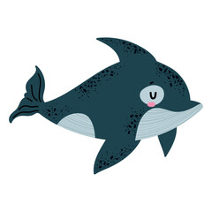 Fototapeta premium dolphin sea life