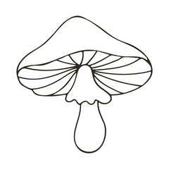 Autumn. Monochrome illustration in hand drawn style