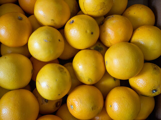 overhead shot of group of oranges fruit on a greengrocery