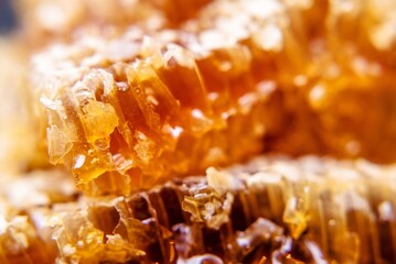 honey in honeycombs shot close-up
