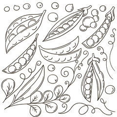 Set of vector illustrations in hand drawn style. Coloring poster with fruits