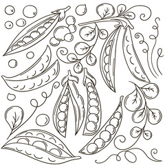 Set of vector illustrations in hand drawn style. Coloring poster with fruits