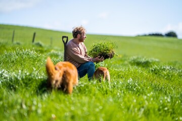 famer soil science in a field looking at plant growth and soil health, agricultural agronomy business